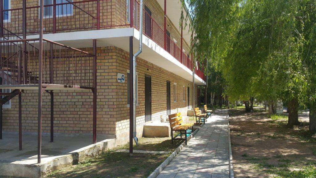 Дельфин мурок