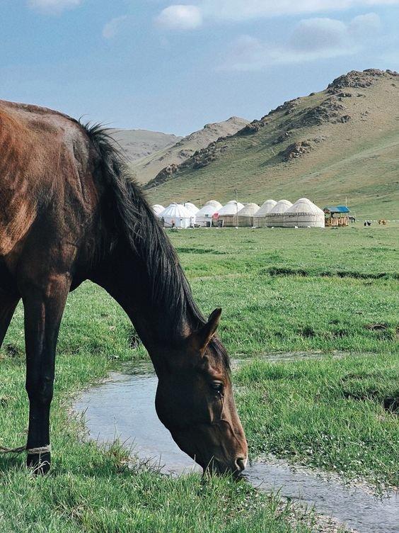 Комбо-тур Кыргызстан — Казахстан — Узбекистан
